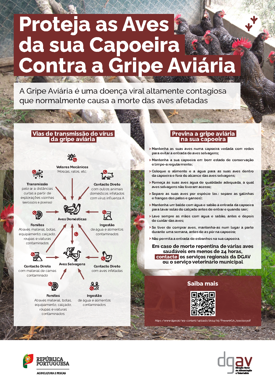 Gripe Aviária